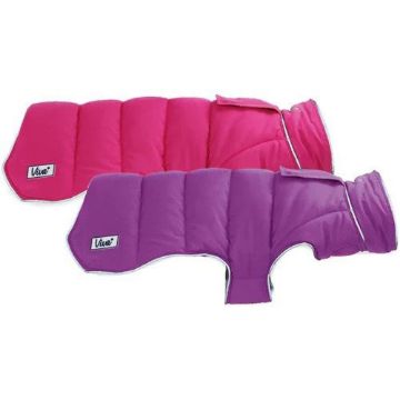 Picture of Ancol Viva Reversible Dog Coat - Large 50cm Pink & Purple x 1