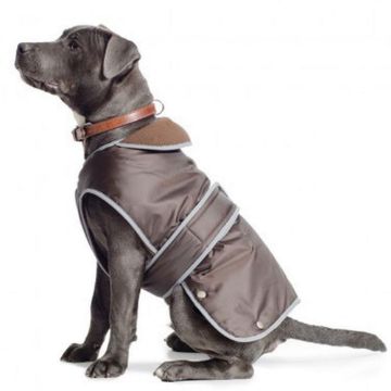 Picture of Ancol Stormguard Dog Coat Chocolate X-Small 25cm x 1