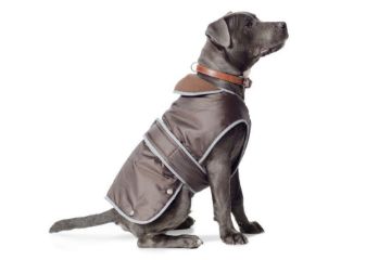 Picture of Ancol Stormguard Dog Coat Chocolate XX-Large 70cm x 1