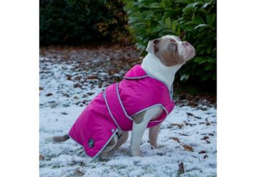 Picture of Ancol Stormguard Dog Coat Pink X-Small 25cm x 1