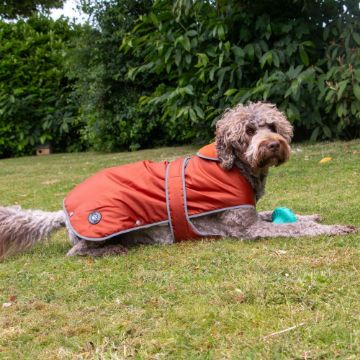 Picture of Ancol Stormguard Dog Coat Terracotta Medium 40cm x 1