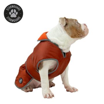 Picture of Ancol Stormguard Dog Coat Terracotta Small 30cm x 1