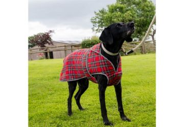 Picture of Ancol Red Tartan Dog Coat X-Large 60cm x 1