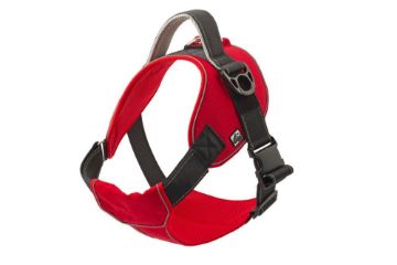 Picture of Ancol Extreme Harness Small Red x 1