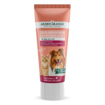 Picture of Arden Grange Tasty SALMON Treat Paste 75g x 1