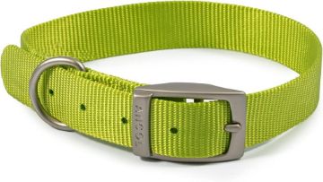 Picture of Ancol Viva Nylon Buckle Collar 35-43cm Size 4 Lime x 1