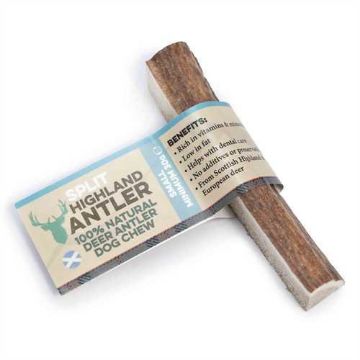 Picture of Split Highland Antler Medium x 1