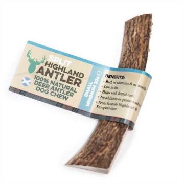 Picture of Split Highland Antler Small x 1