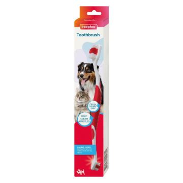 Picture of Beaphar Regular Toothbrush x 1