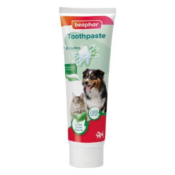 Picture of Beaphar Dog & Cat Toothpaste Peppermint & Parsley 100g x 1
