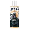 Picture of Bugalugs Oatmeal, Coconut & Lime Shampoo 250ml x 1