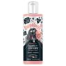Picture of Bugalugs 2-in-1 Papaya & Coconut Luxury Shampoo 250ml x 1