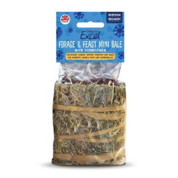 Picture of Excel Forage & Feast Hay Mini Bale Cornflower 100g x 8