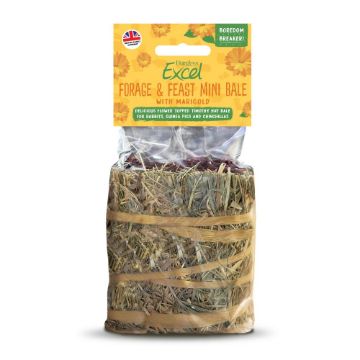 Picture of Excel Forage & Feast Hay Mini Bale Marigold 100g x 8