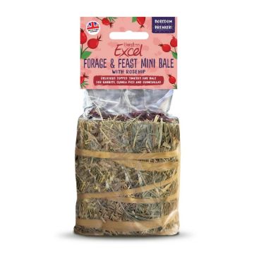 Picture of Excel Forage & Feast Hay Mini Bale Rosehip 100g x 8
