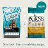 Picture of Burns Original Adult Dog Chicken & Brown Rice 6kg