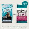 Picture of Burns Original Adult Dog Lamb & Brown Rice 6kg