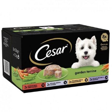 Picture of Cesar Foil Tray Garden Terrine Mixed Selection in Loaf 150g 8-pk x 3