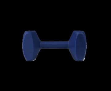 Picture of Coachi Training Dumbbell Small x 1