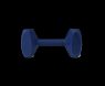 Picture of Coachi Training Dumbbell Small x 1