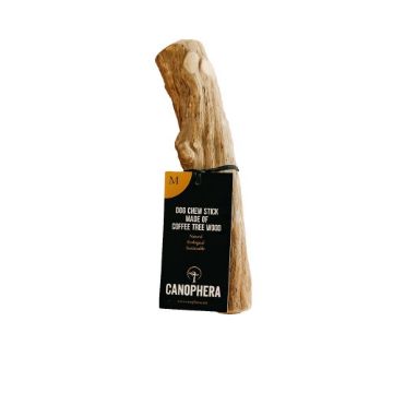 Picture of Canophera Coffee Tree Wood Dog Chew Medium x 1