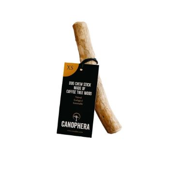 Picture of Canophera Coffee Tree Wood Dog Chew XS x 1