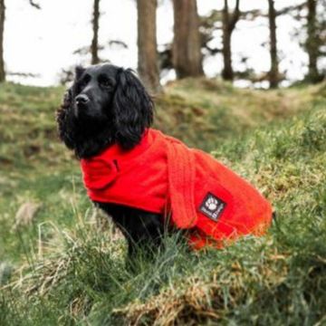 Picture of Danish Design Towelling Dog Robe 50cm Red x 1