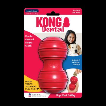 Picture of KONG Dental Kong Large x 1