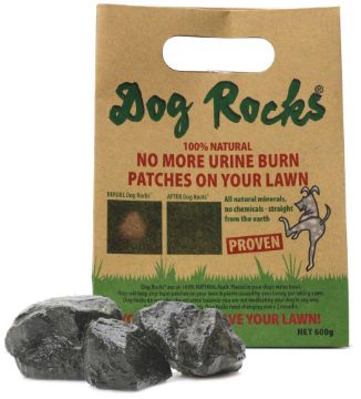 Picture of Dog Rocks 600g Bulk Bag x 1