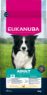 Picture of Eukanuba Adult Medium Breed Chicken 12kg