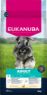 Picture of Eukanuba Adult Small Breed Chicken 12kg