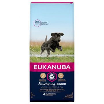 Picture of Eukanuba Junior Large / XL Chicken 12kg