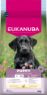 Picture of Eukanuba Puppy Large Breed Chicken 12kg