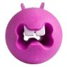 Picture of ROGZ Fred Medium Treat Ball Pink 2½" x 1