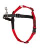 Picture of Halti Train Front Control Harness Medium Black & Red x 1