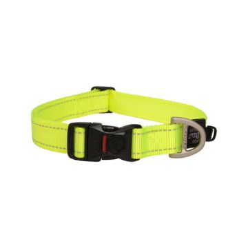 Picture of ROGZ Classic Collar Dayglo XL 43-70cm x 1