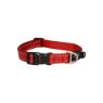 Picture of ROGZ Classic Collar Red Large 34-56cm x 1