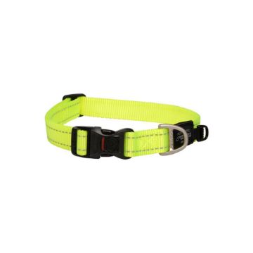 Picture of ROGZ Classic Collar Dayglo Large 34-56cm x 1