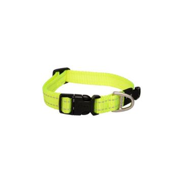 Picture of ROGZ Classic Collar Dayglo Medium 26-40cmx 1