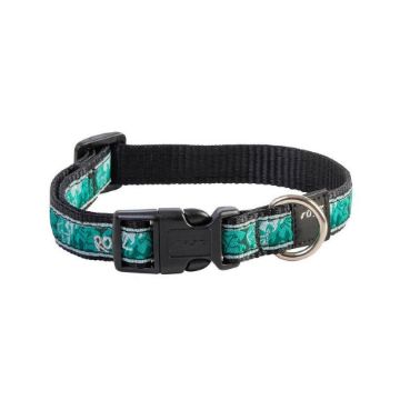 Picture of ROGZ Mint Dog Medium Adjustable Collar 10"-16" x 1