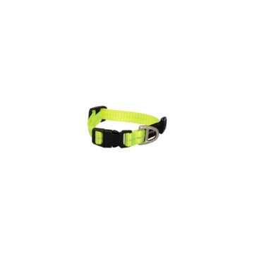 Picture of ROGZ Classic Collar Dayglo XS 16-22cmx 1