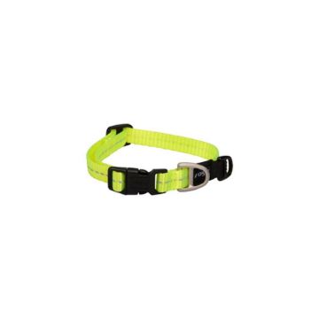 Picture of ROGZ Classic Collar Dayglo Small 20-31cm x 1