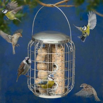 Picture of Henry Bell Sterling 3-in-1 Squirrel Proof Feeder x 1