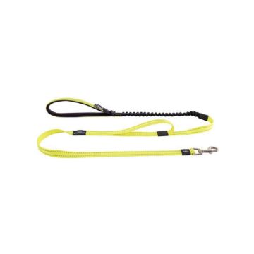 Picture of ROGZ Bungee Lead Dayglo XL 0.8m x 25mm x 1
