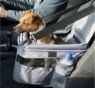 Picture of Henry Wag Pet Car Booster Seat x 1