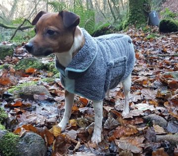 Picture of Henry Wag Drying Coat XS 35cm Grey x 1