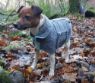 Picture of Henry Wag Drying Coat XS 35cm Grey x 1