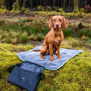Picture of Henry Wag Easy-Roll Travel Pet Bed x 1