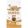 Picture of Iams Cat Indoor Chicken 2kg