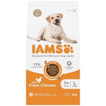 Picture of Iams Dog Large Breed Chicken 2kg